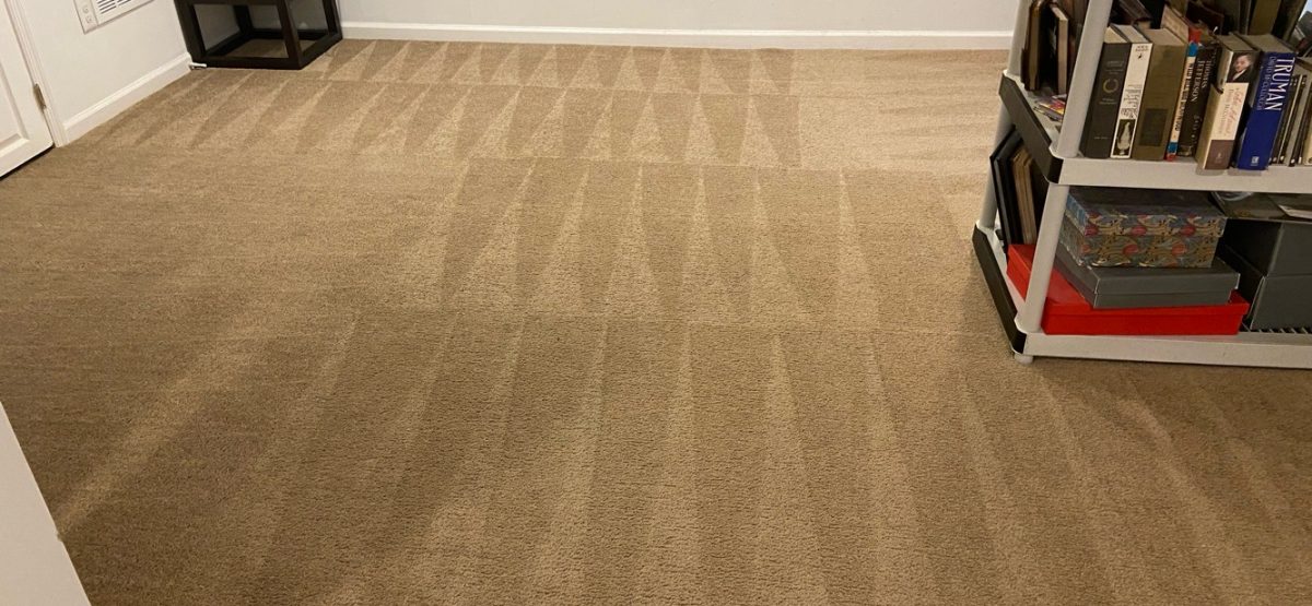 Best Carpet Cleaning Companies near me